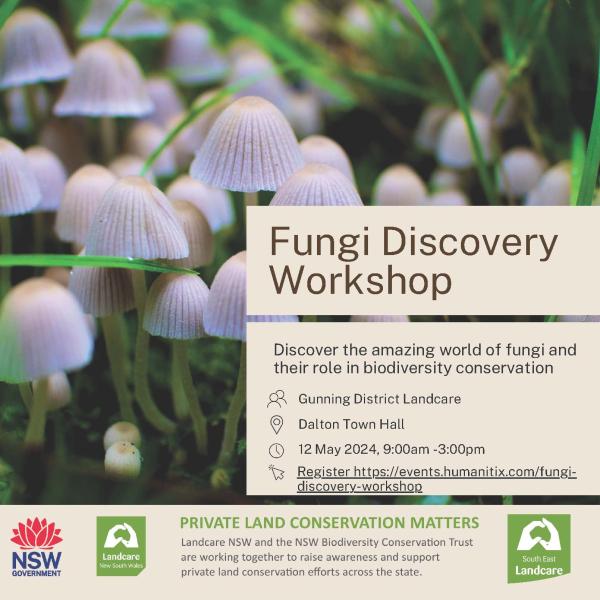  Fungi Discovery Workshop on May 12th, 2024, from 9 AM to 3 PM at the Dalton Town Hall.