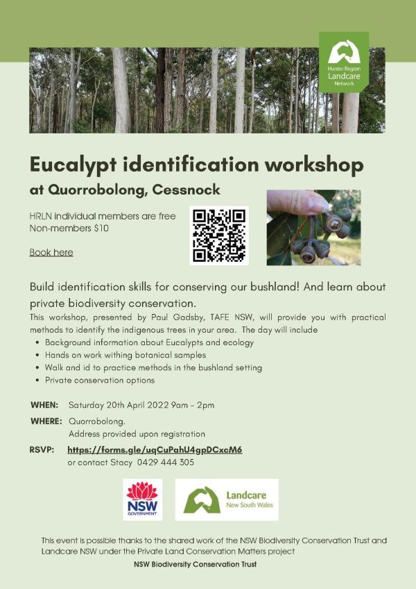 Eucalypt identification workshop at Quorrobolong, Cessnock Saturday 20th April 2022 9am - 2pm