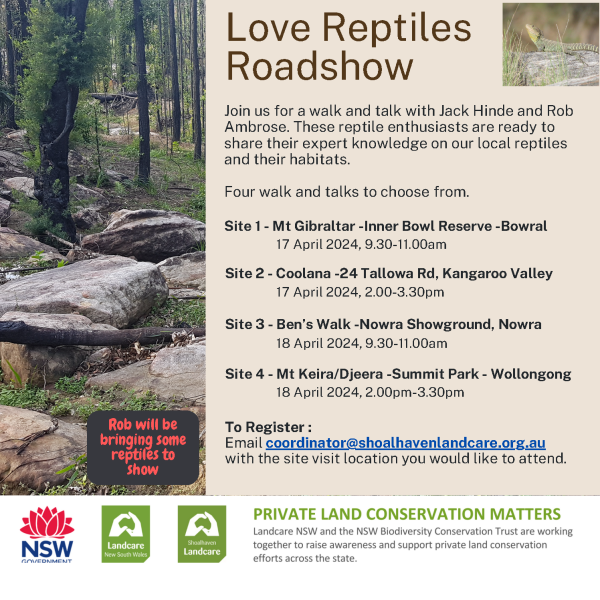 Following the webinar on Wednesday 17 and Thursday 18 April, Shoalhaven Landcare have organised for Jack Hinde and Rob Ambrose (another knowledgeable reptile enthusiast who will be bringing a few reptilian friends with him) to do a walk and talk at 4 different locations in the Southern Highlands/Illawarra area.