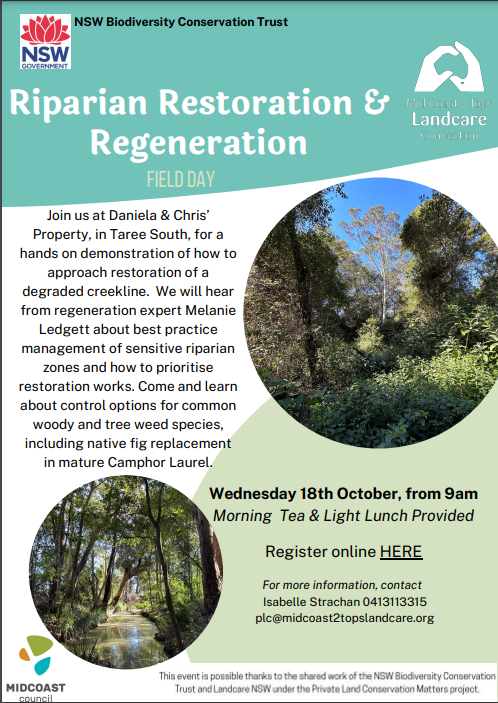 Join us at Daniela & Chris’ Property, in Taree South, for a hands on demonstration of how to approach restoration of a degraded creekline. We will hear from regeneration expert Melanie Ledgett about best practice management of sensitive riparian zones and how to prioritise restoration works. Come and learn about control options for common woody and tree weed species, 