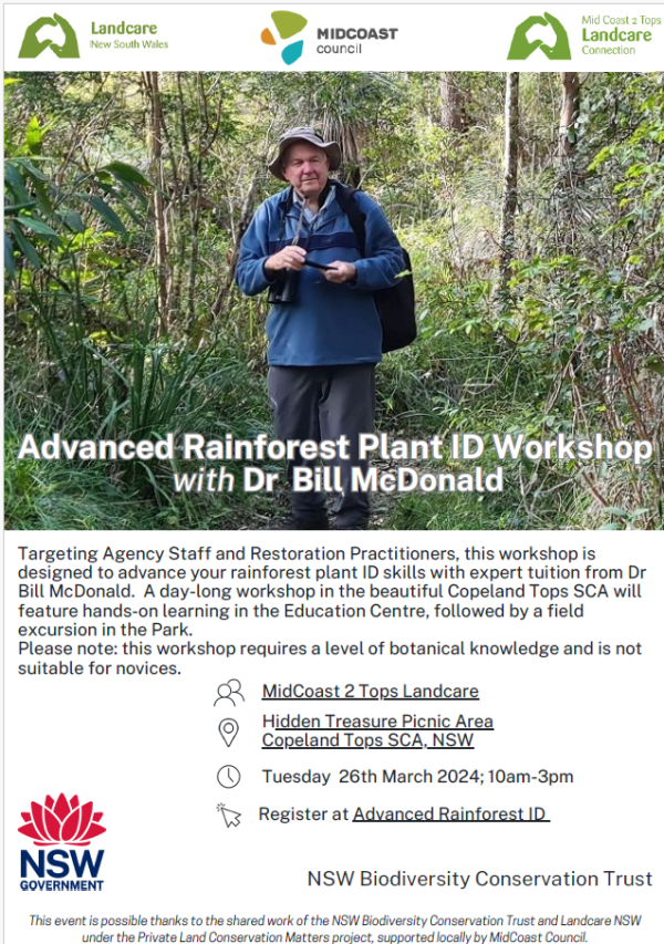 Advanced rainforest ID workshop 26 March