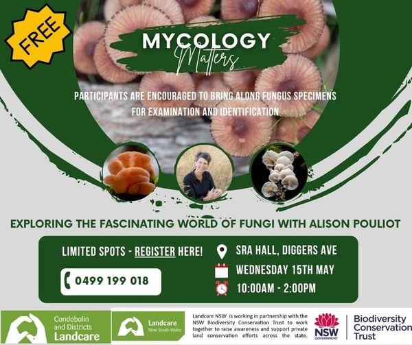 Mycology matters flyer