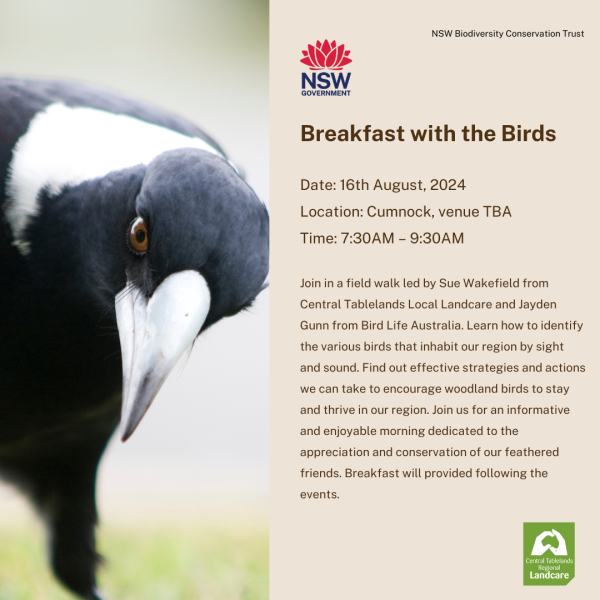 Little River Landcare Group  Breakfast with the birds 16/8/24