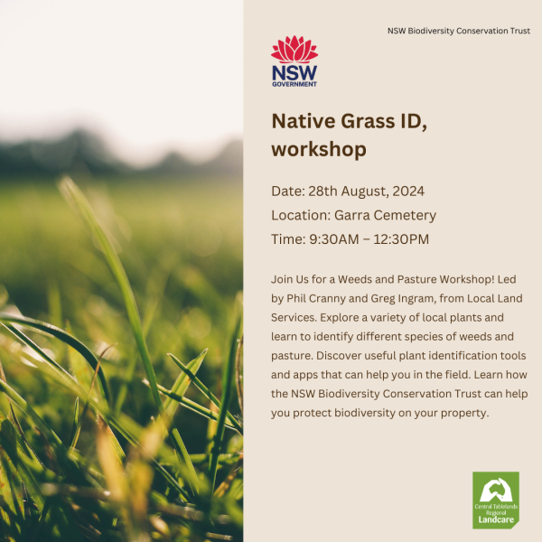 native grass ID workshop 28 Aug