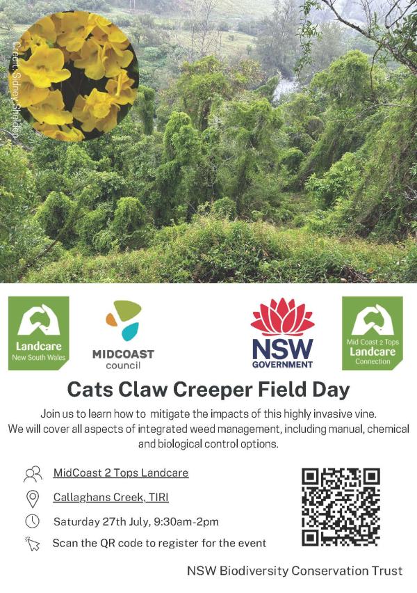 Cats Claw Creeper Field day flyer