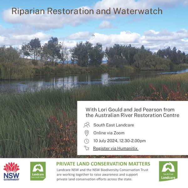 river restoration poster