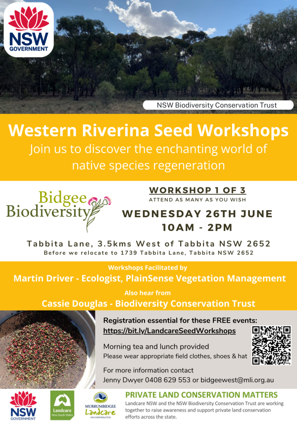 Workshop wed. 26 June 10am-2pm