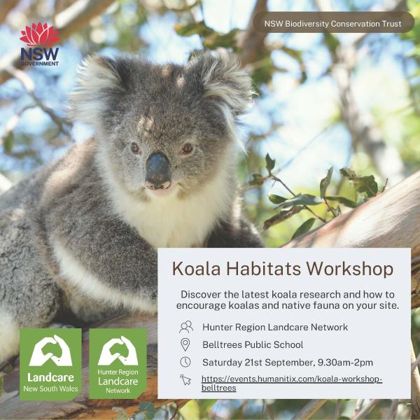21 Sept Flyer Koala Habitat