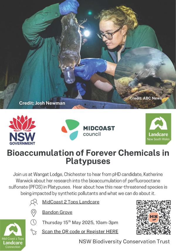 event flyer