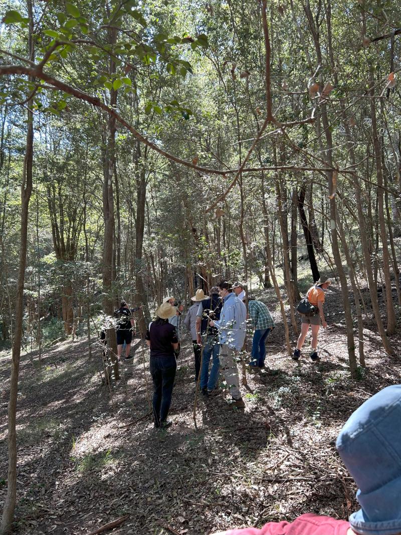 Walk & talk , threatened species