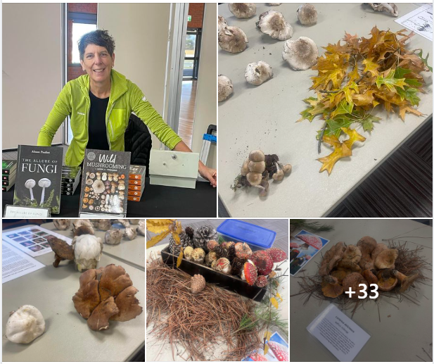 workshop photos https://www.facebook.com/condolandcare