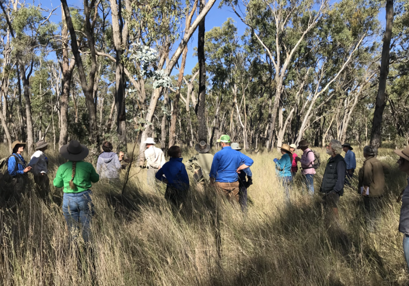 BCT Landholders session