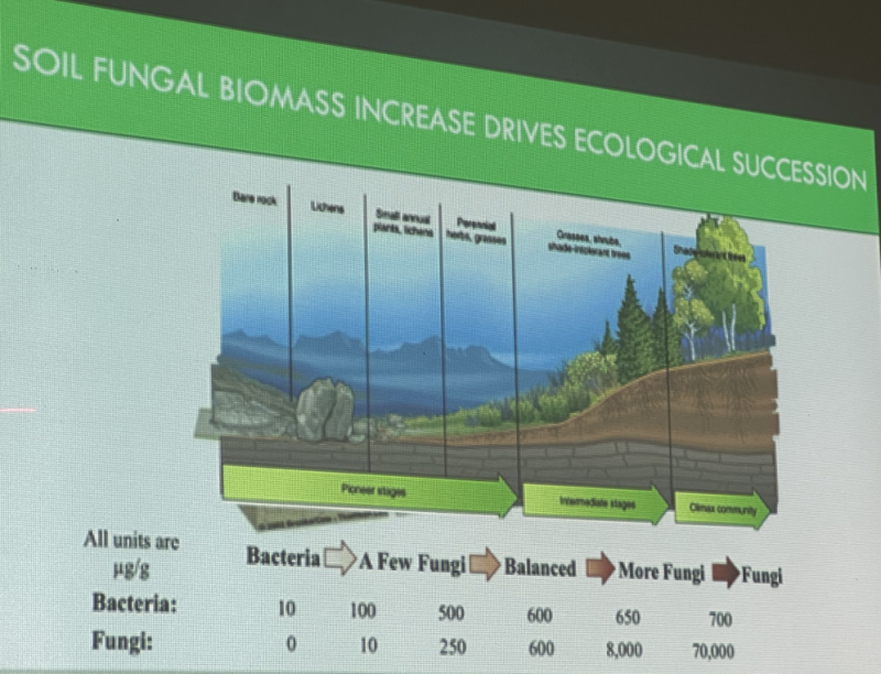 Soil fungal biomass increase drives ecological succession