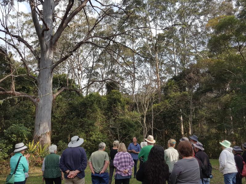 Group discussing suitability of tree