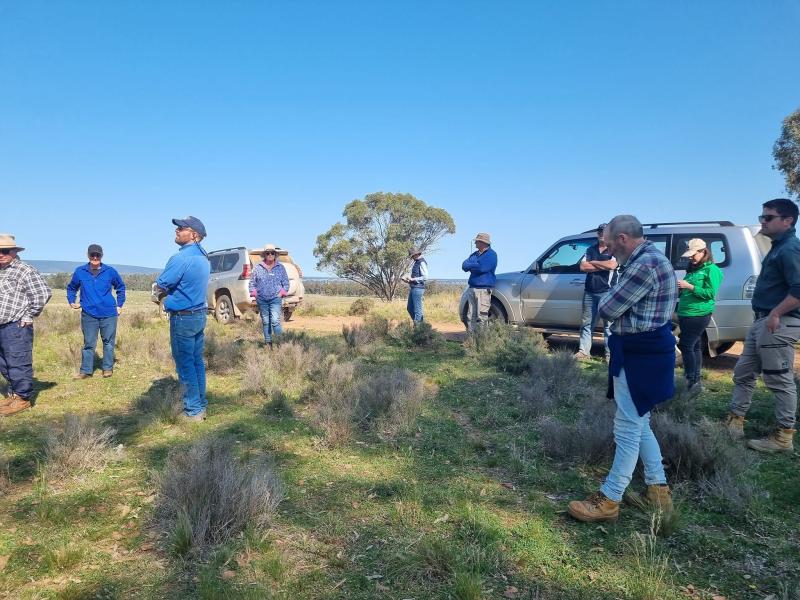 Weddin Landcare-Myall Park-in farm biodiversity-20240910-weddin landcare