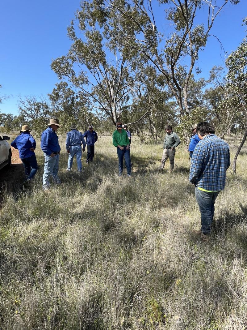 Condobolin Landcare-Biodiversity  on farms-20240919