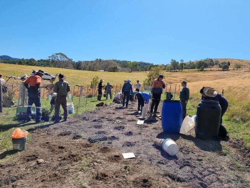 Adding Complexity to Restoration Sites – on ground event Shoalhaven Landcare – 19 September 2024 