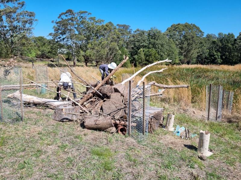 Adding Complexity to Restoration Sites – on ground event Shoalhaven Landcare – 19 September 2024