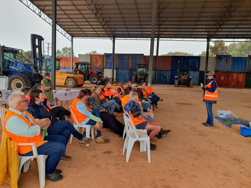 Sowing the Seeds of Biodiversity field day on-farm 