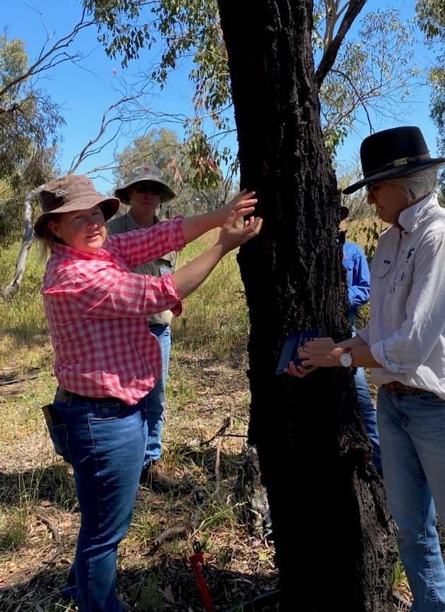 Liz Blair, Ecologist, instructing on creating simple habitat hollows.