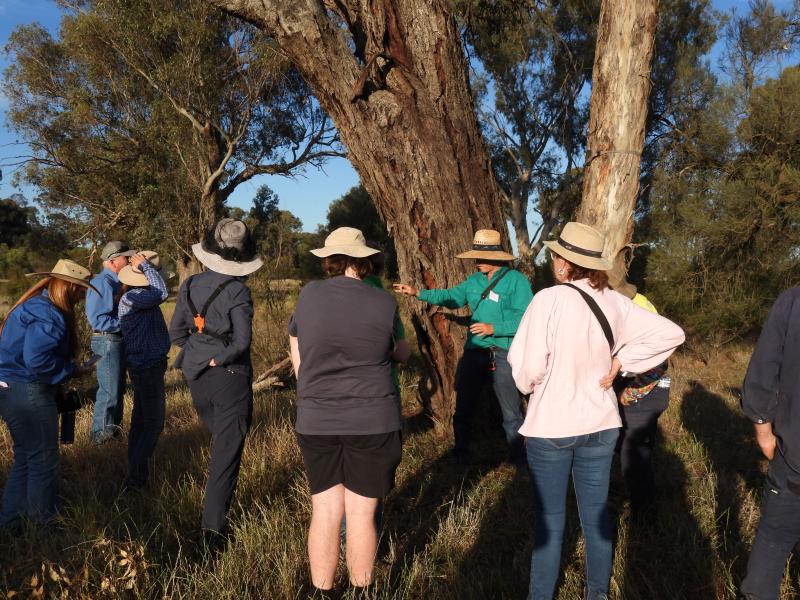 241029 Riverina Biodiversity Bush Bonanza