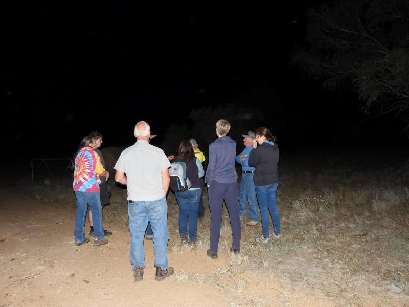 241029 Riverina Biodiversity Bush Bonanza