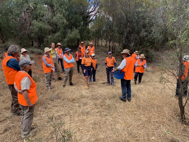 241113 Riverina Planting and weeds