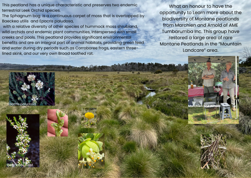 Montane features