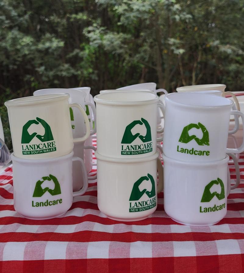 cups