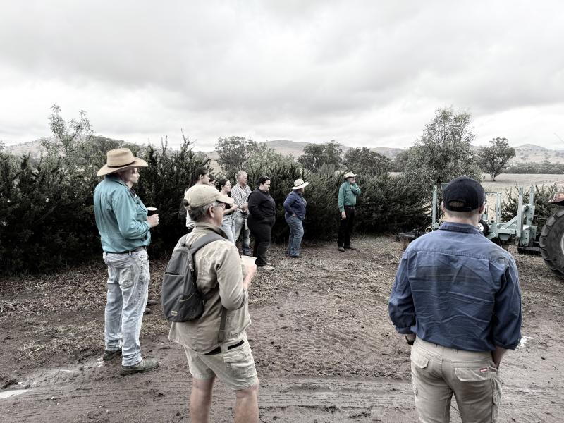 250321 Riverina - Establishing Successful reveg