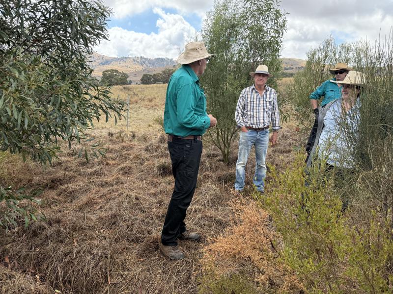 250321 Riverina - Establishing Successful reveg