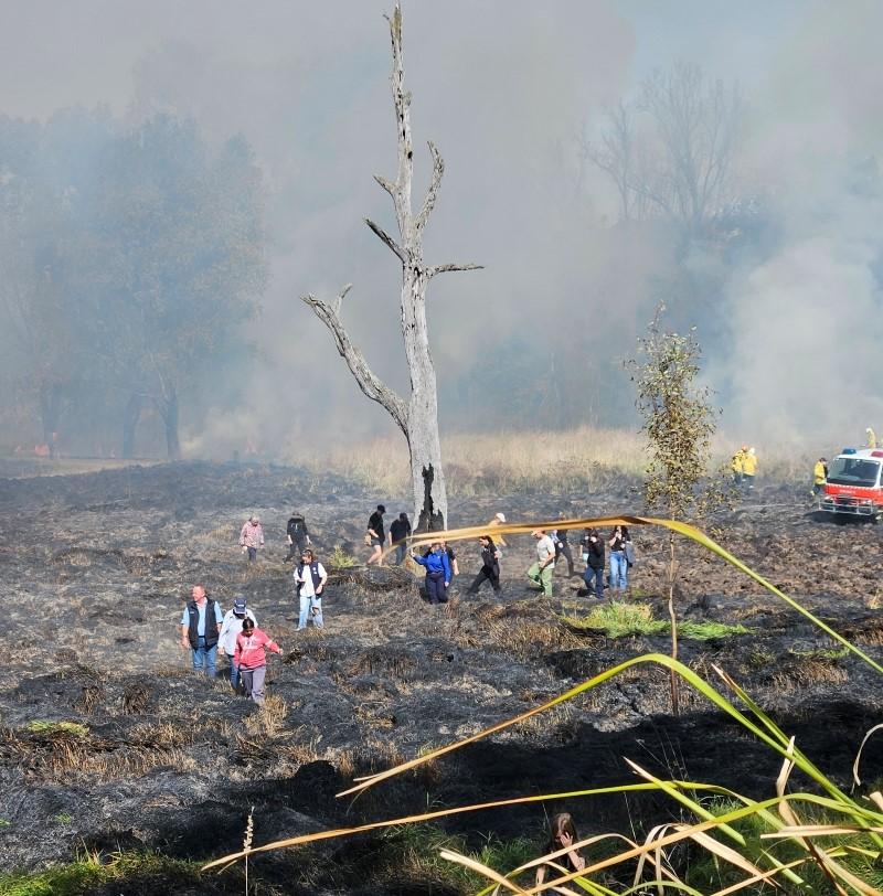 20250509 Riverina Tumut Cultural burn