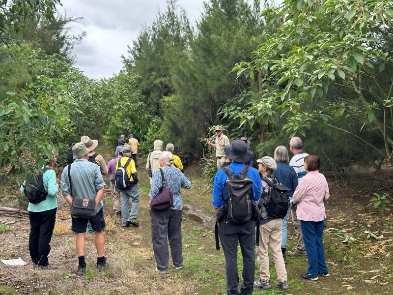 241119_M2T Wingham Pollinators Restoration