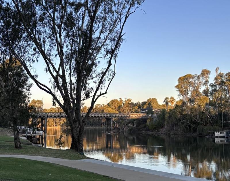 250501 Murray Wildlife beyond the riverbank 3