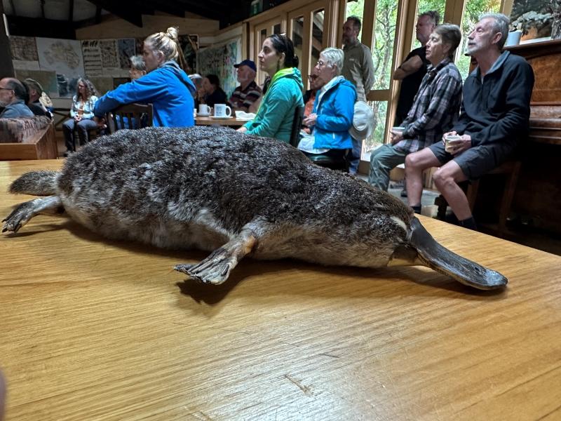 250515 M2T Platypus field day